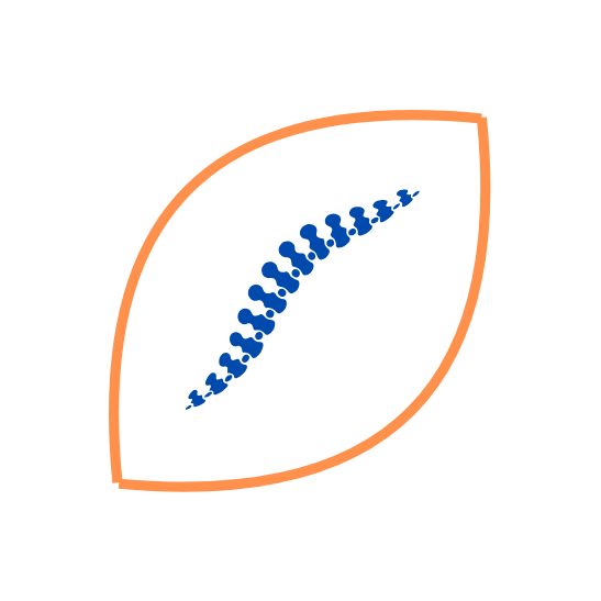 Spina NFL Football Card Repack